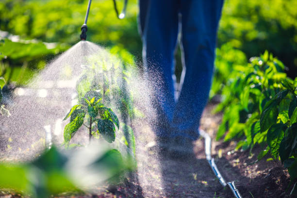 Pest Control for Warehouses in Castle Point, MO